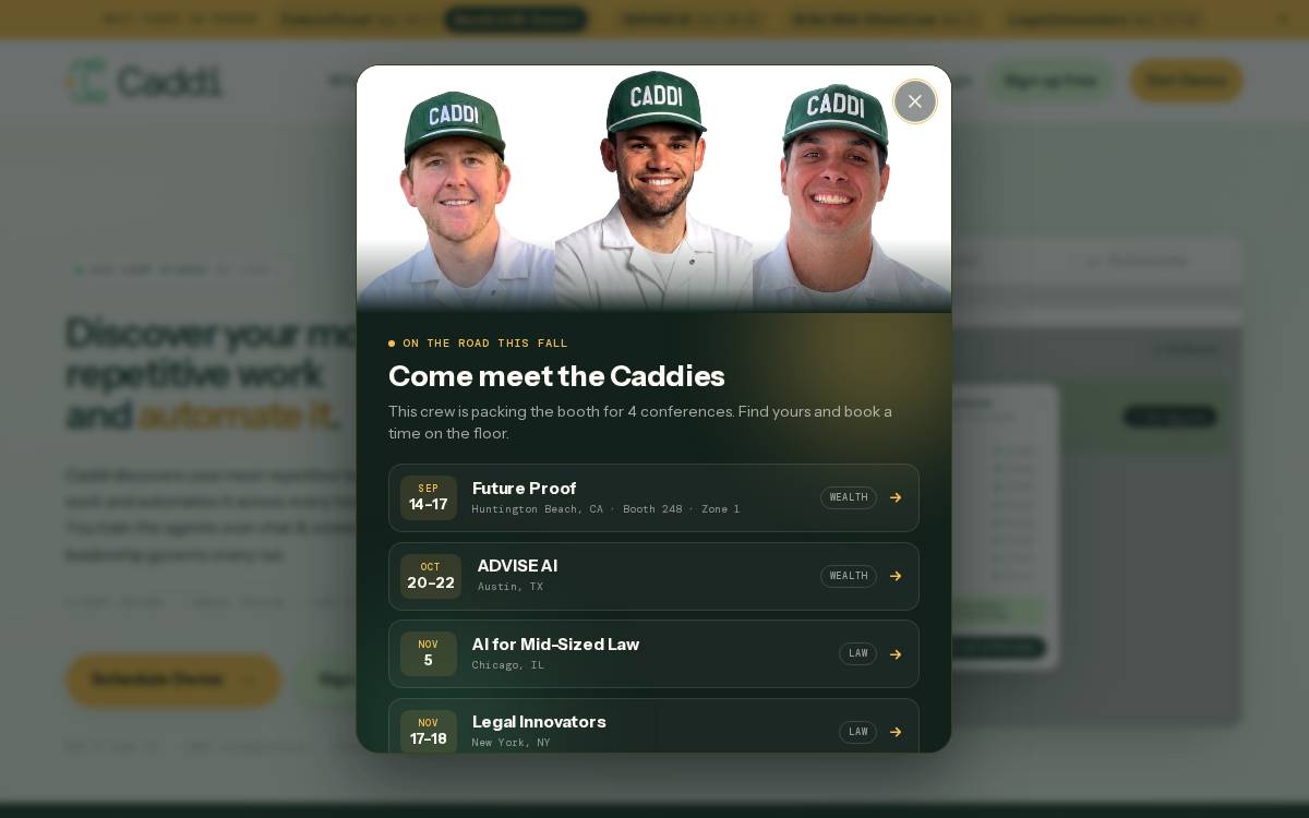 Caddi website preview