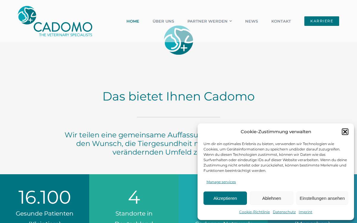 Cadomo website preview