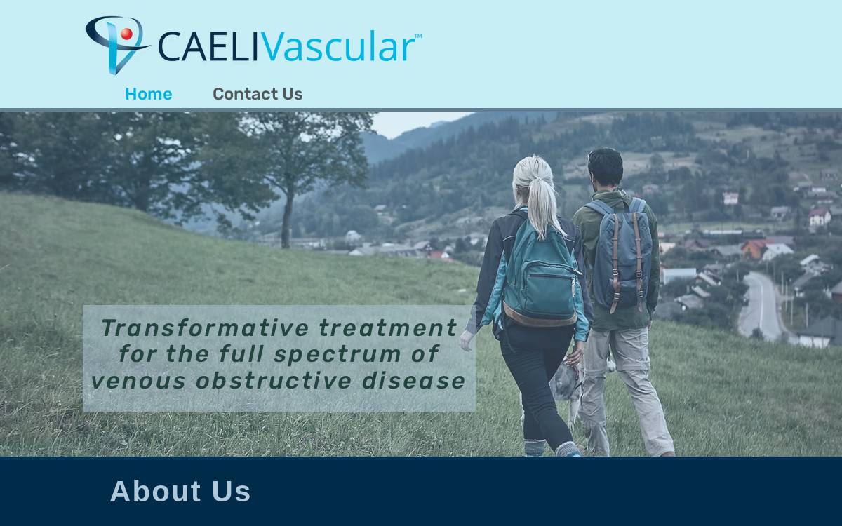 Caeli Vascular website preview