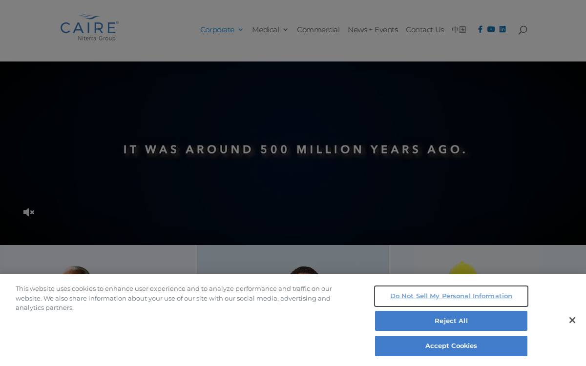 Caireinc website preview