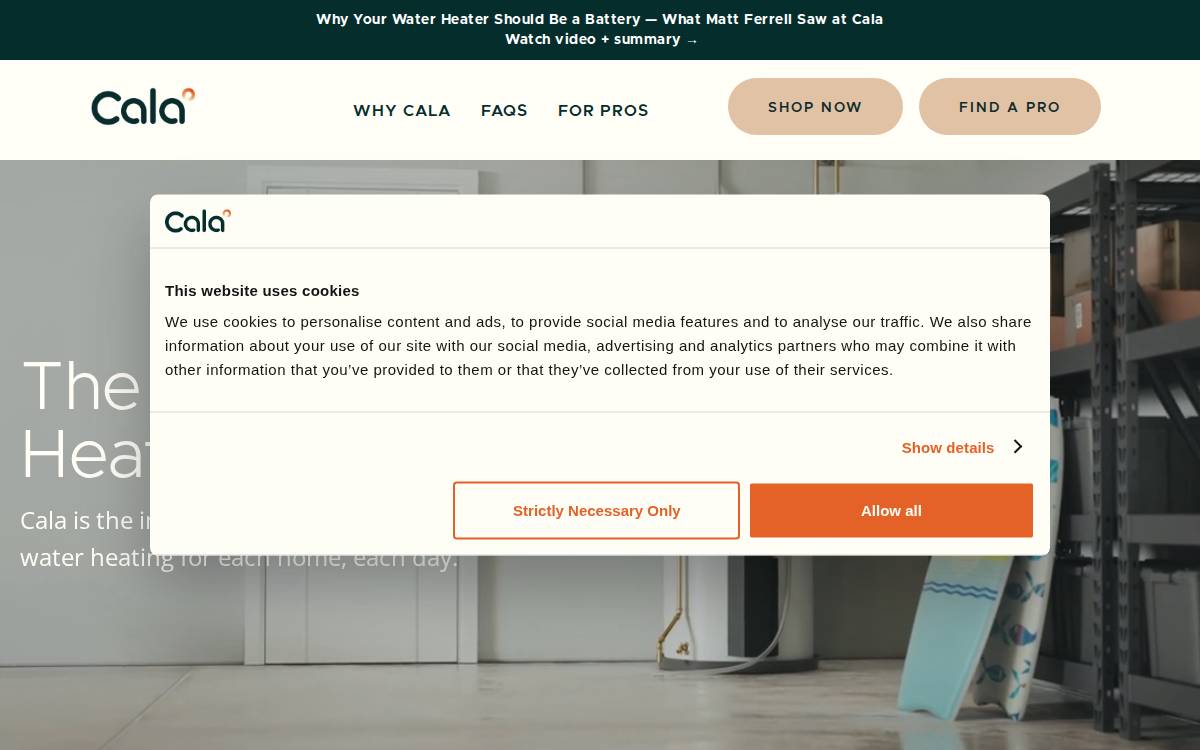 Cala Systems website preview