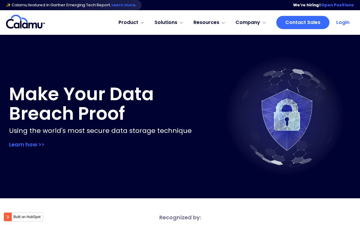 Calamu website preview