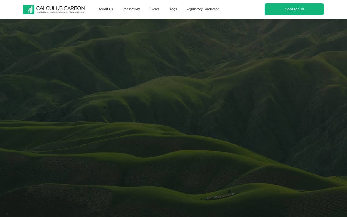 Calculuscarbon website preview