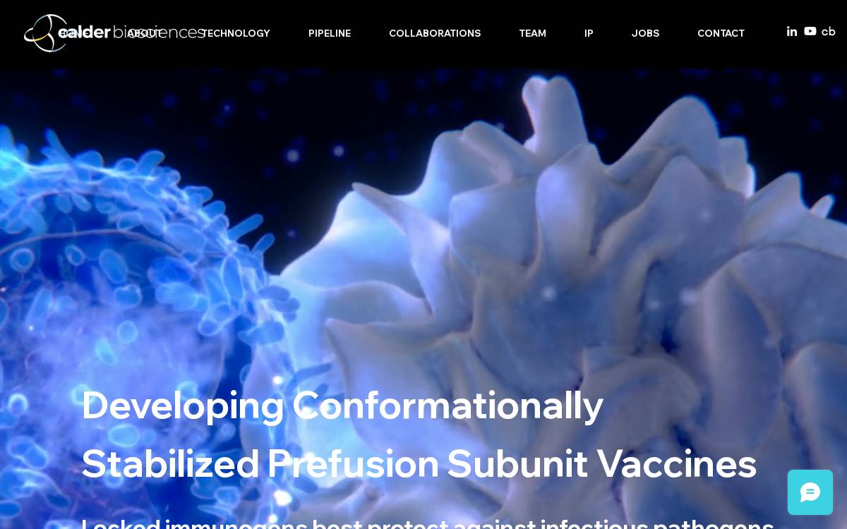 Calder Biosciences website preview