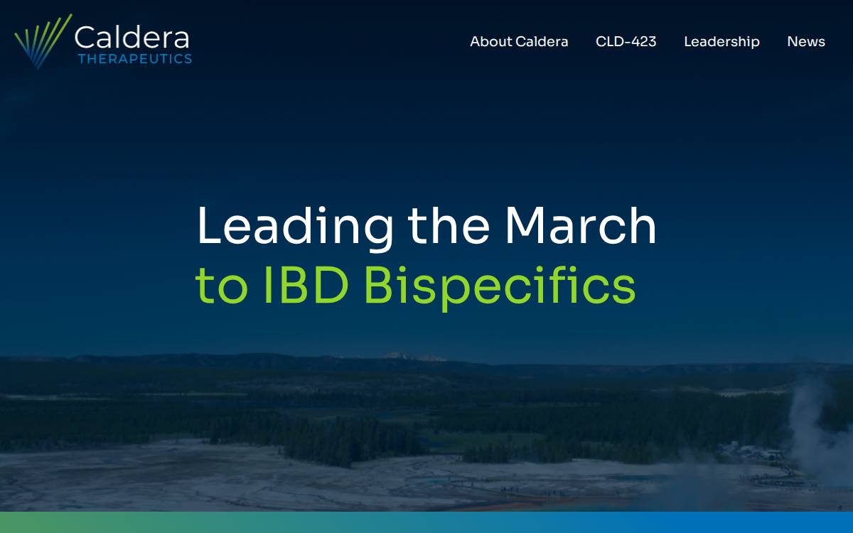 Calderatx website preview