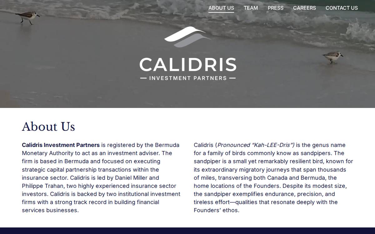 Calidris website preview