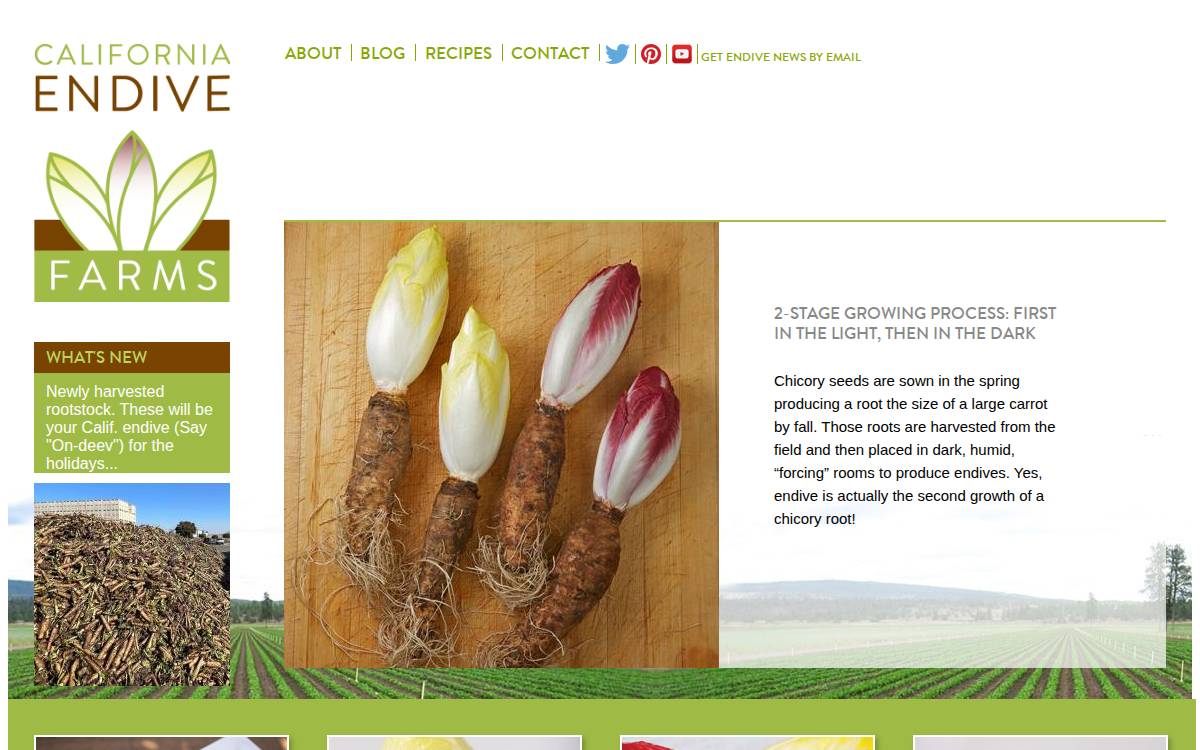 California Endive (CVS) website preview