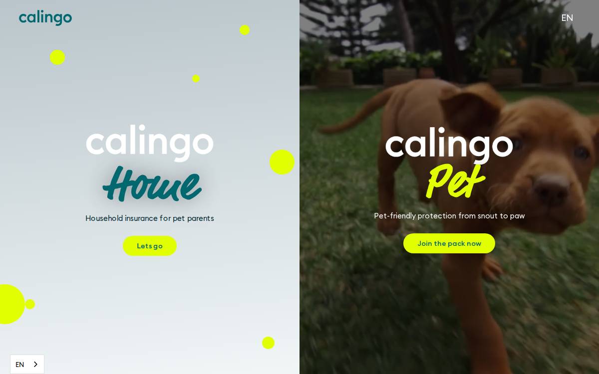 Calingo website preview