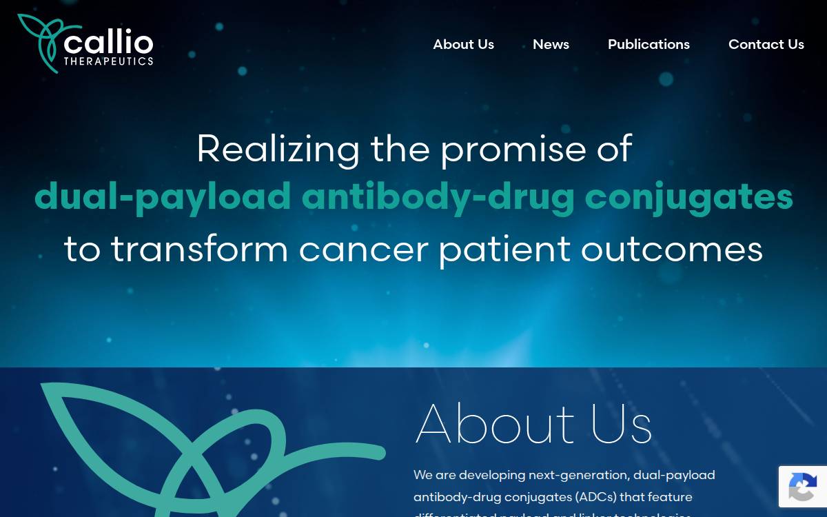 Calliotx website preview