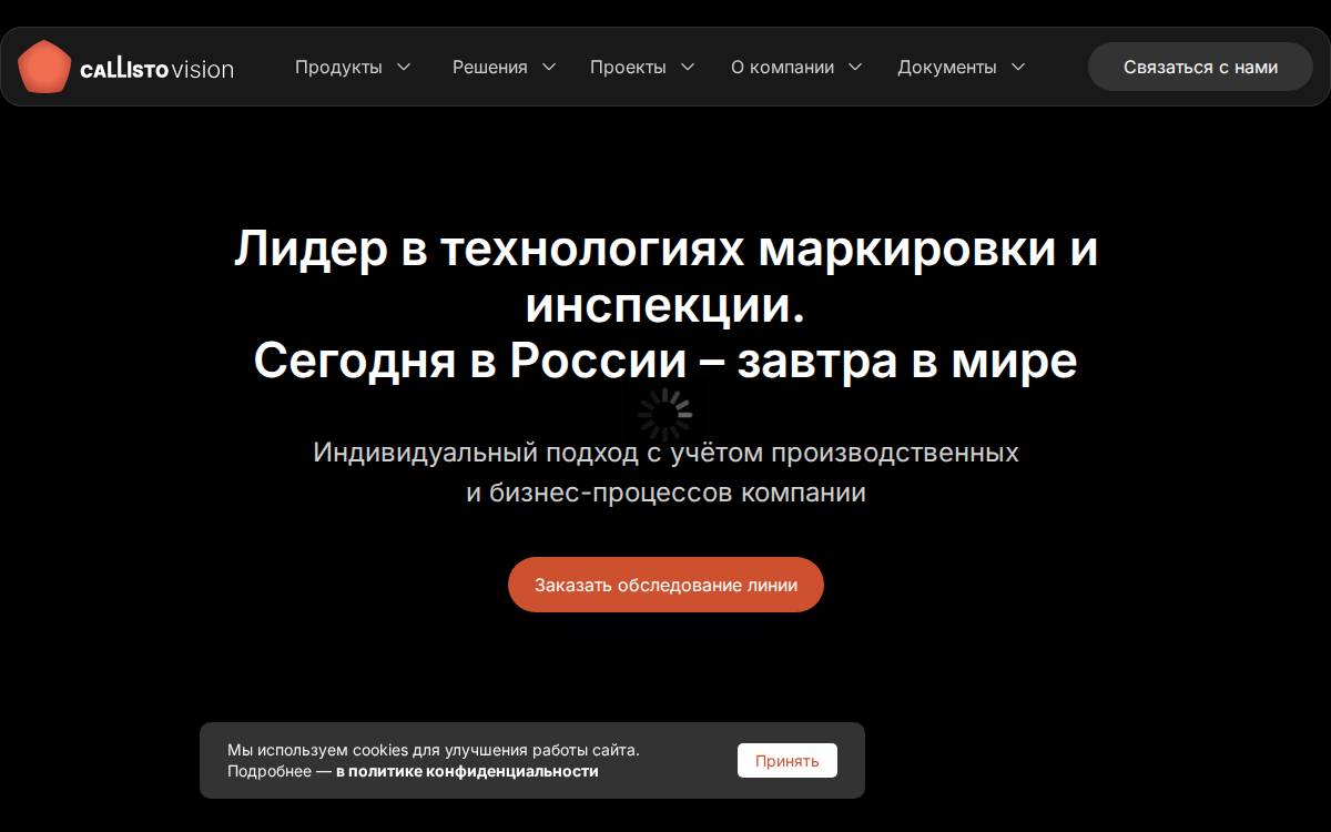 Callistovision website preview