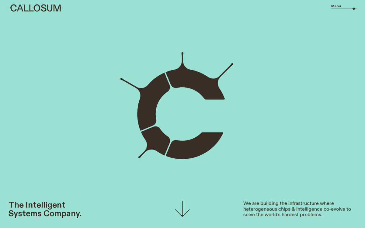 Callosum website preview