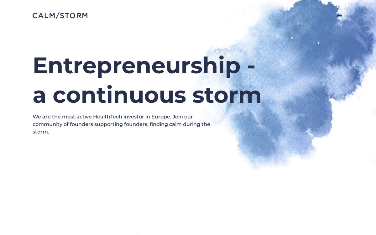 Calm/Storm Ventures website preview