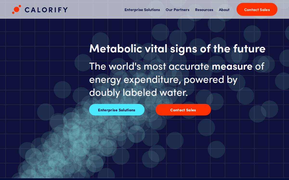 Calorify website preview