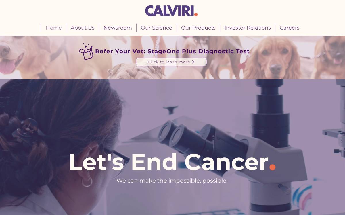 Calviri website preview