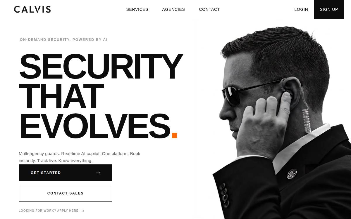 Calvis website preview