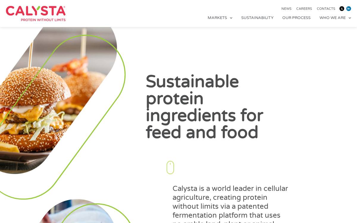 Calysta website preview