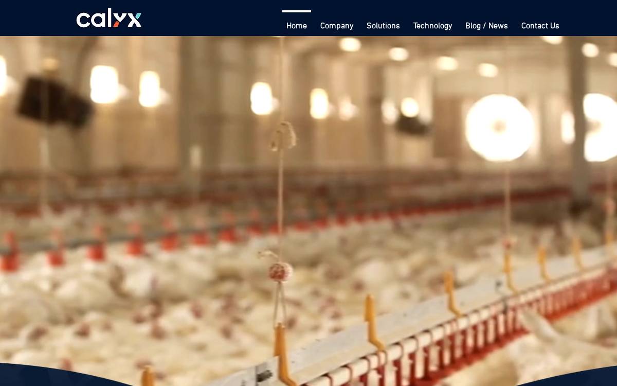 CALYX INC website preview