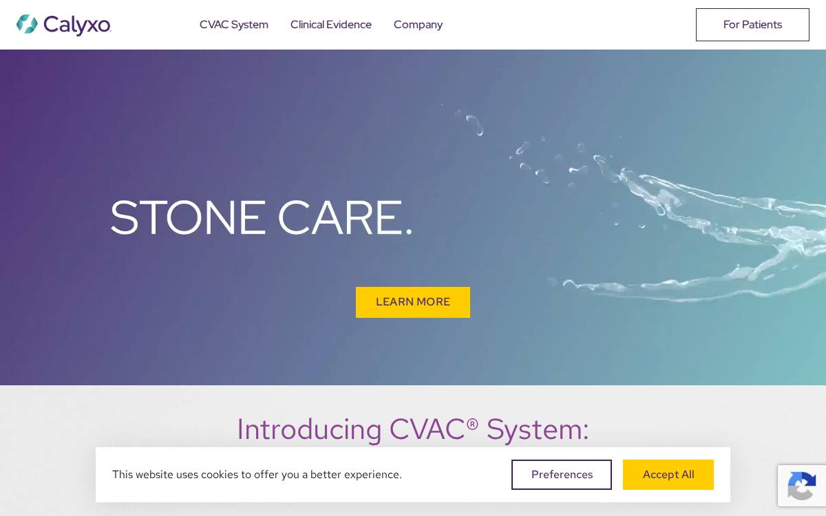 Calyxo website preview