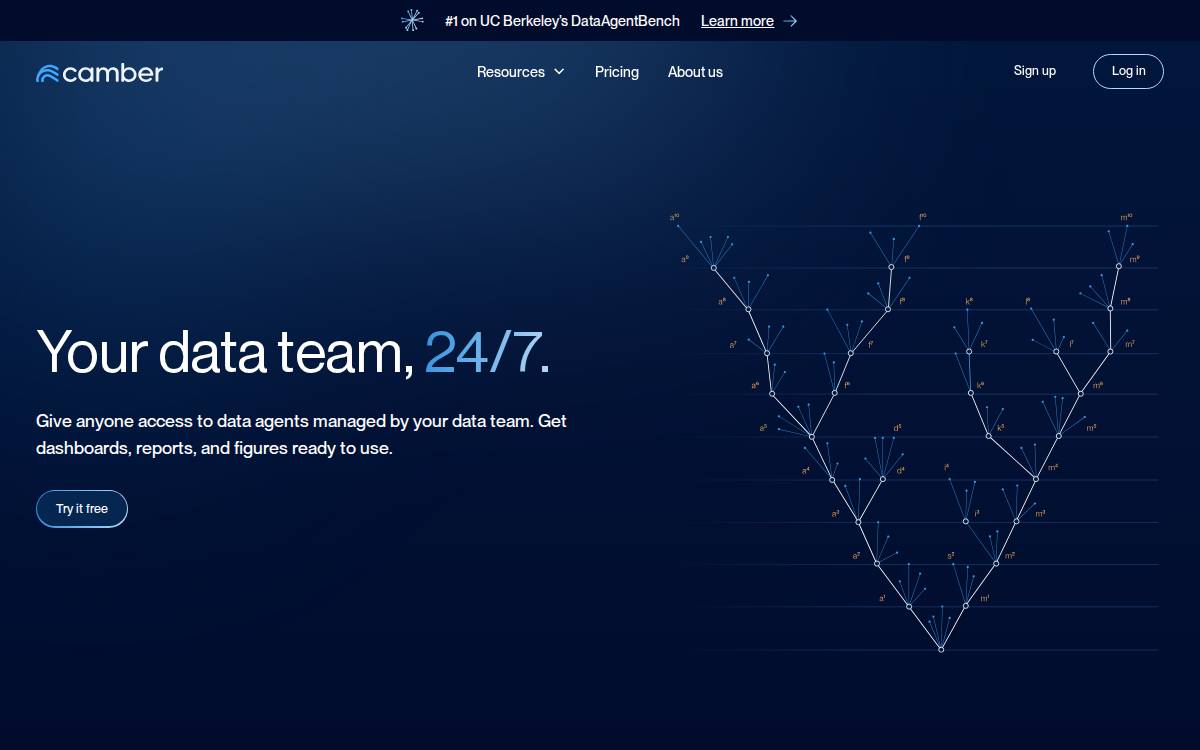 Camber website preview