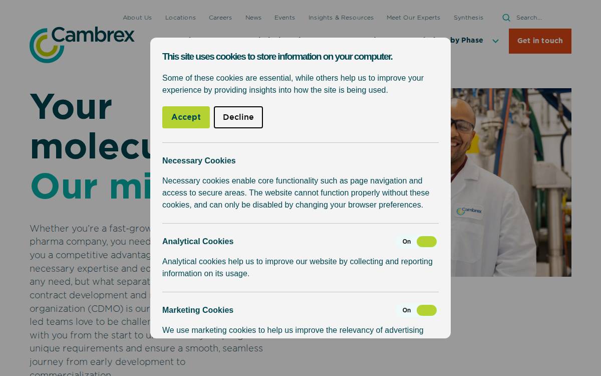 Cambrex website preview