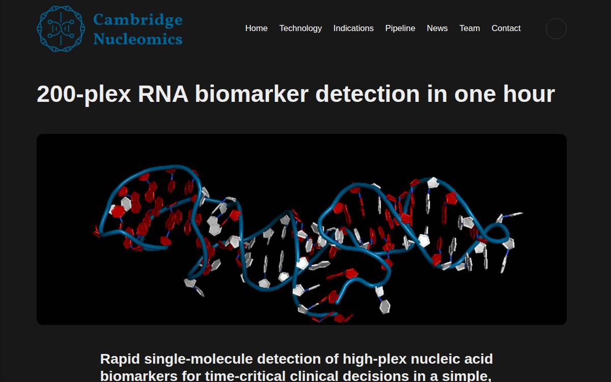 Cambridge website preview