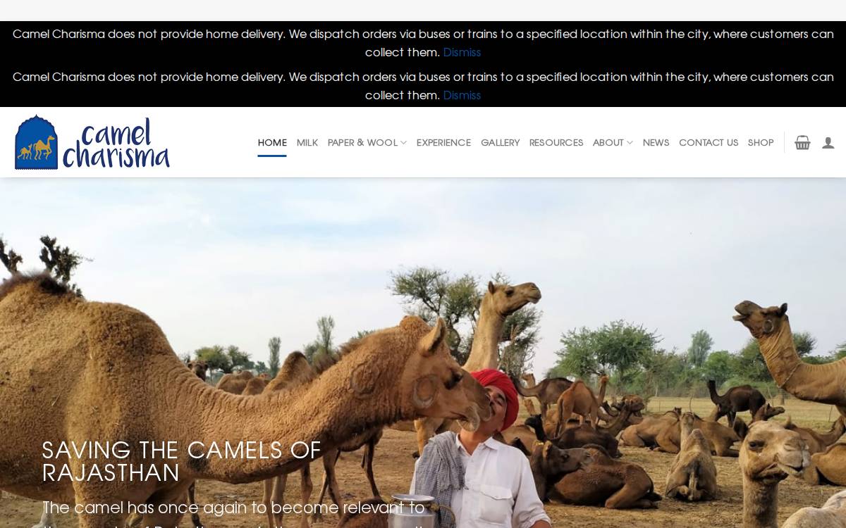 Camelcharisma website preview
