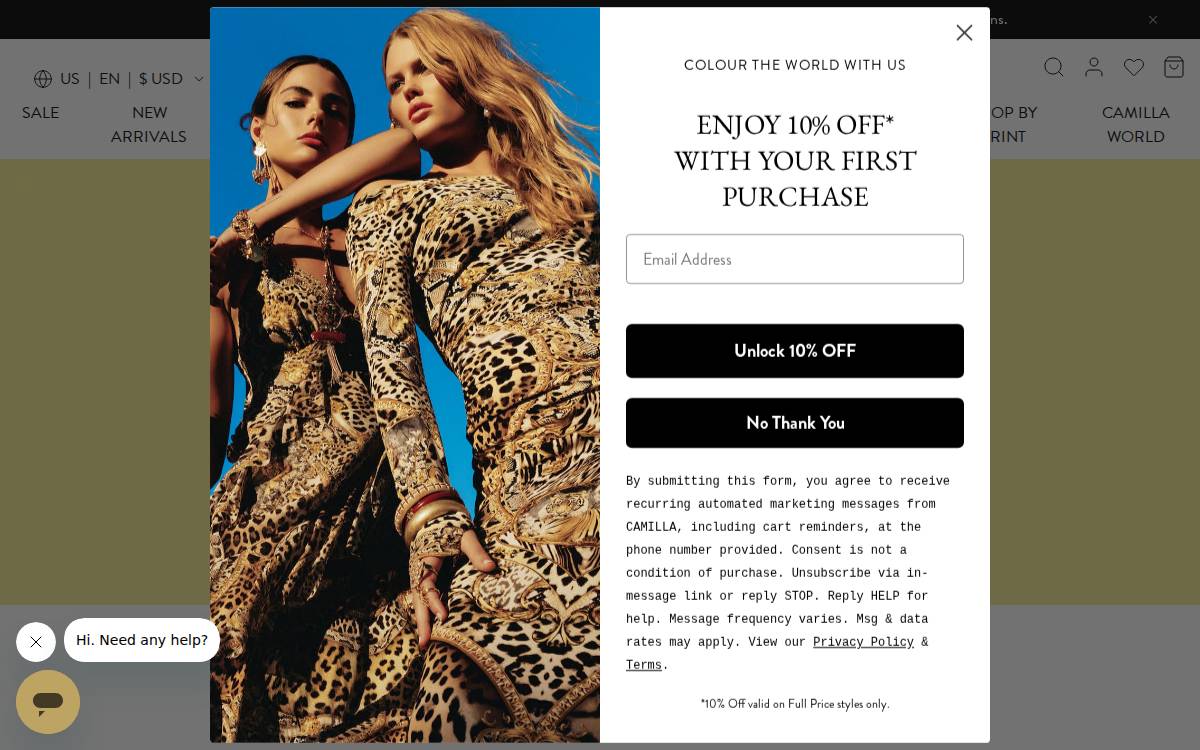 Camilla website preview
