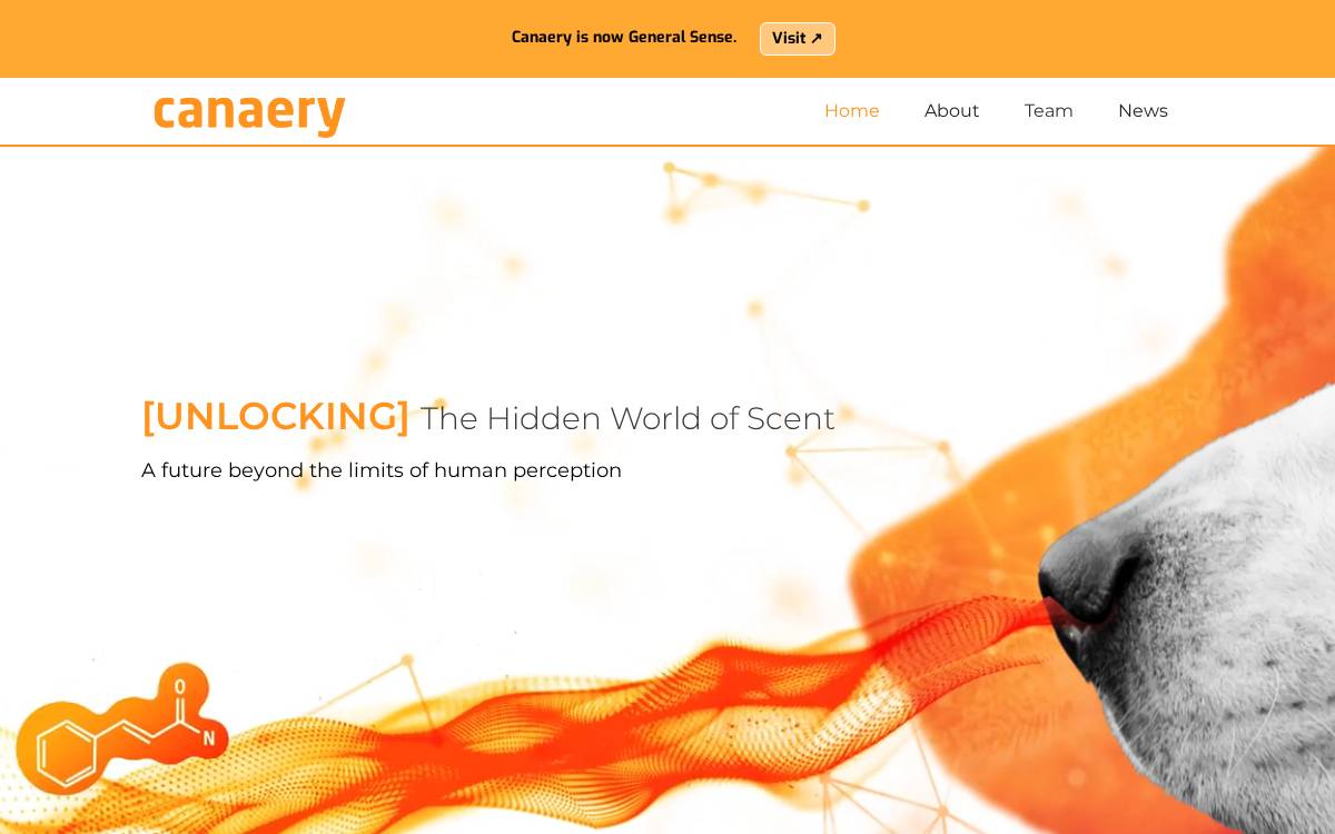 Canaery website preview