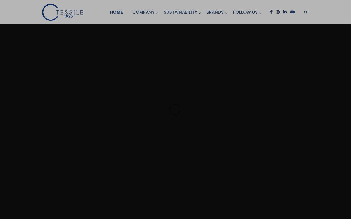 Canclini S.p.a . website preview