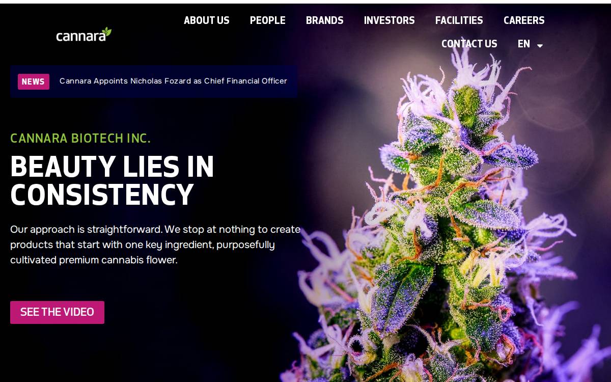 Cannara website preview