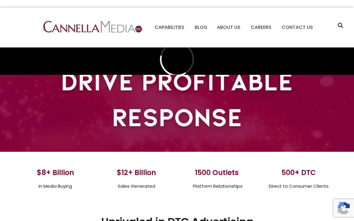 Cannellamedia website preview