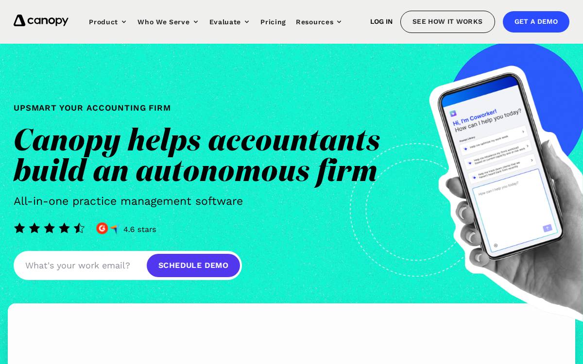 Canopy Tax website preview