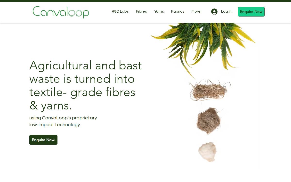 Canvaloop website preview