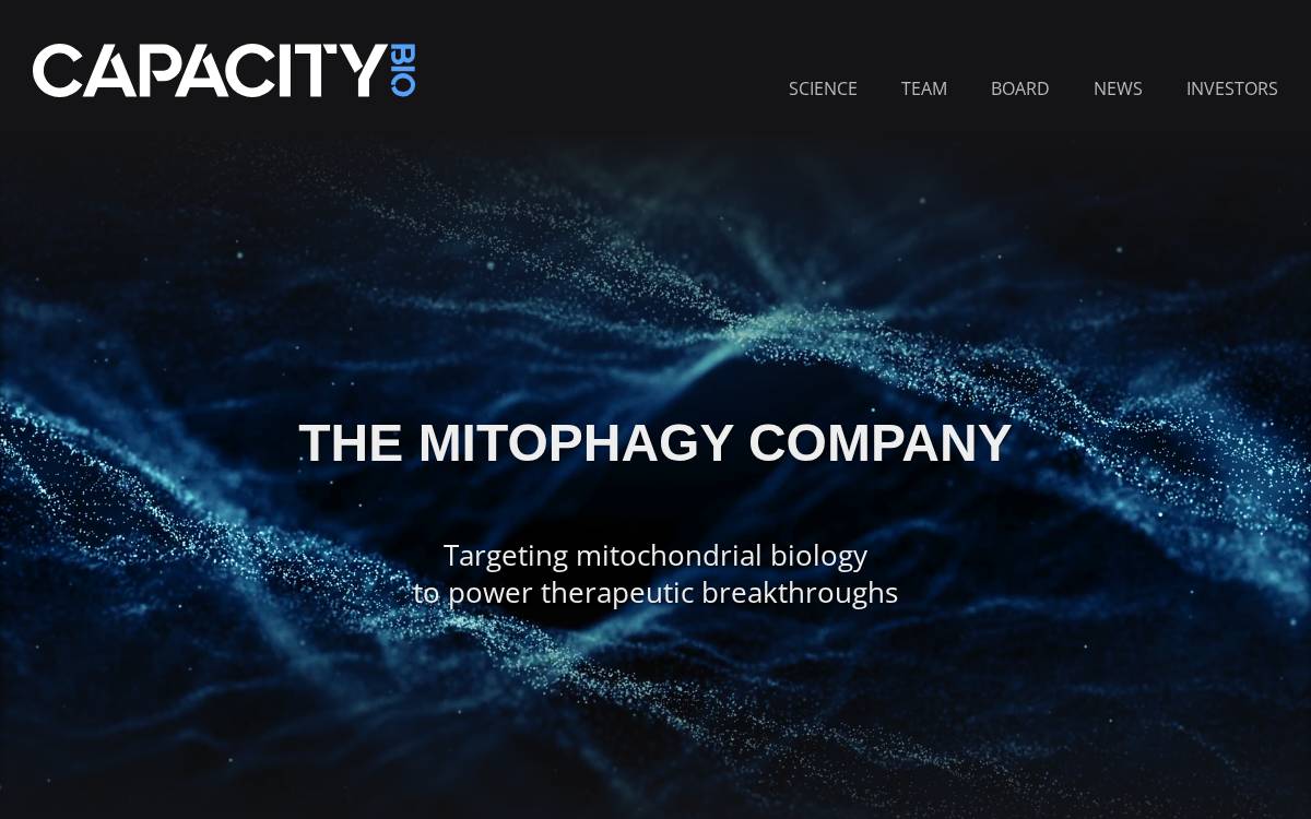 Capacity Bio website preview