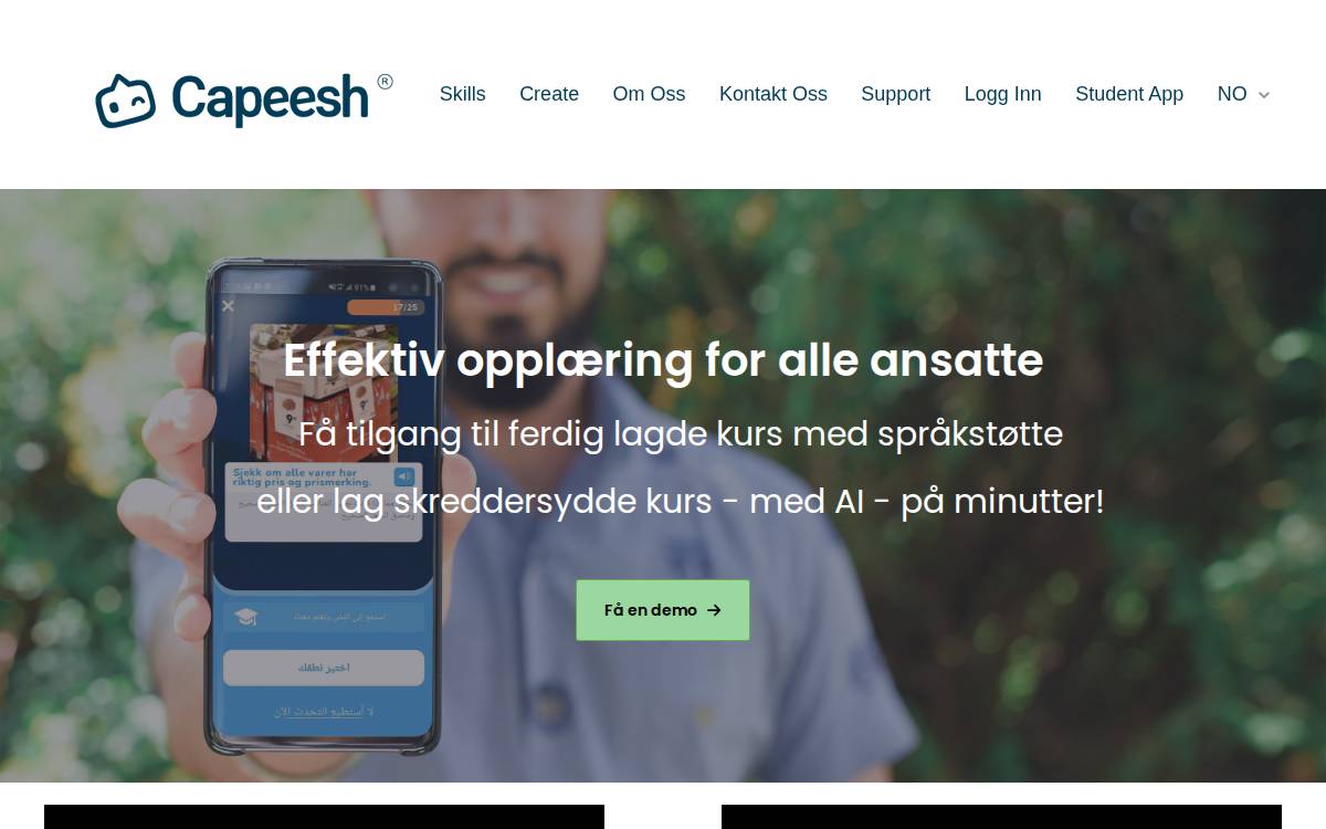 Capeesh website preview