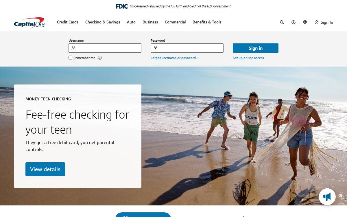 Capital One website preview