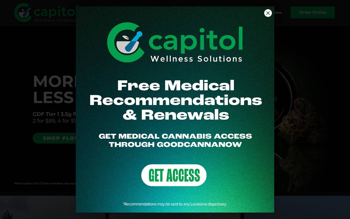 Capitol Wellness Solutions website preview
