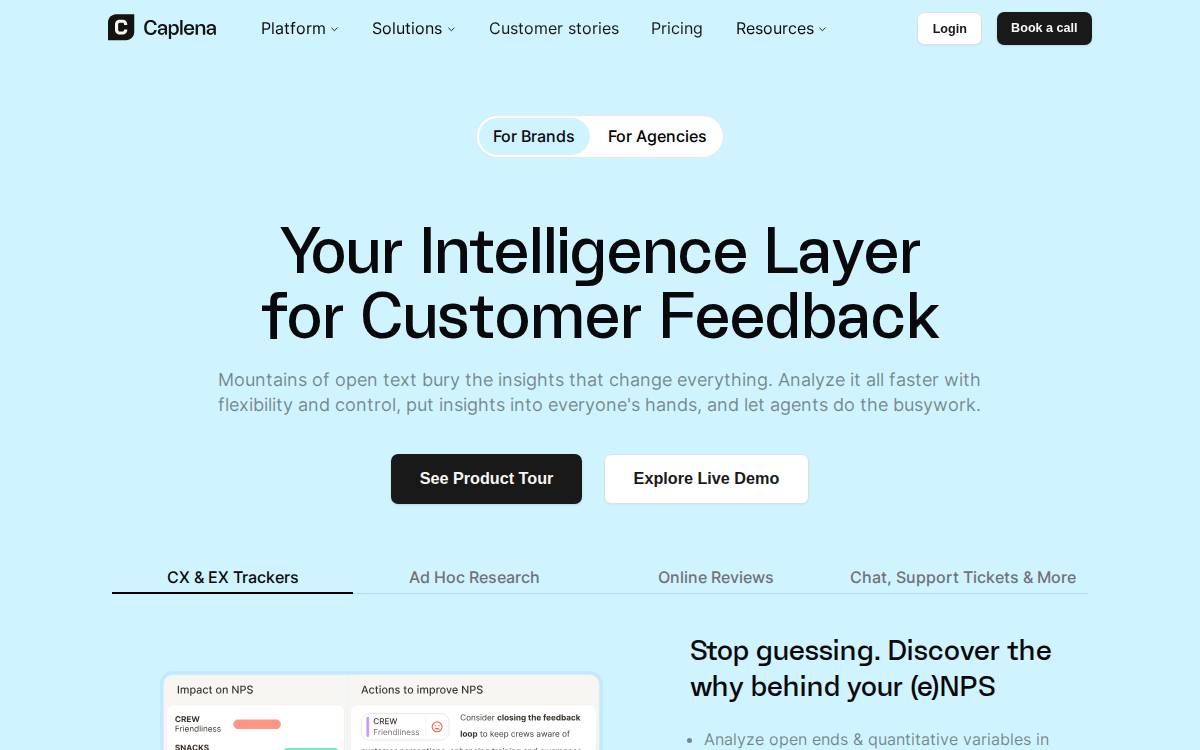 Caplena website preview