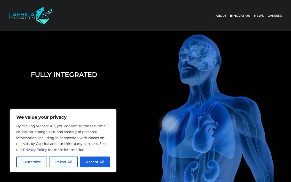 Capsida website preview