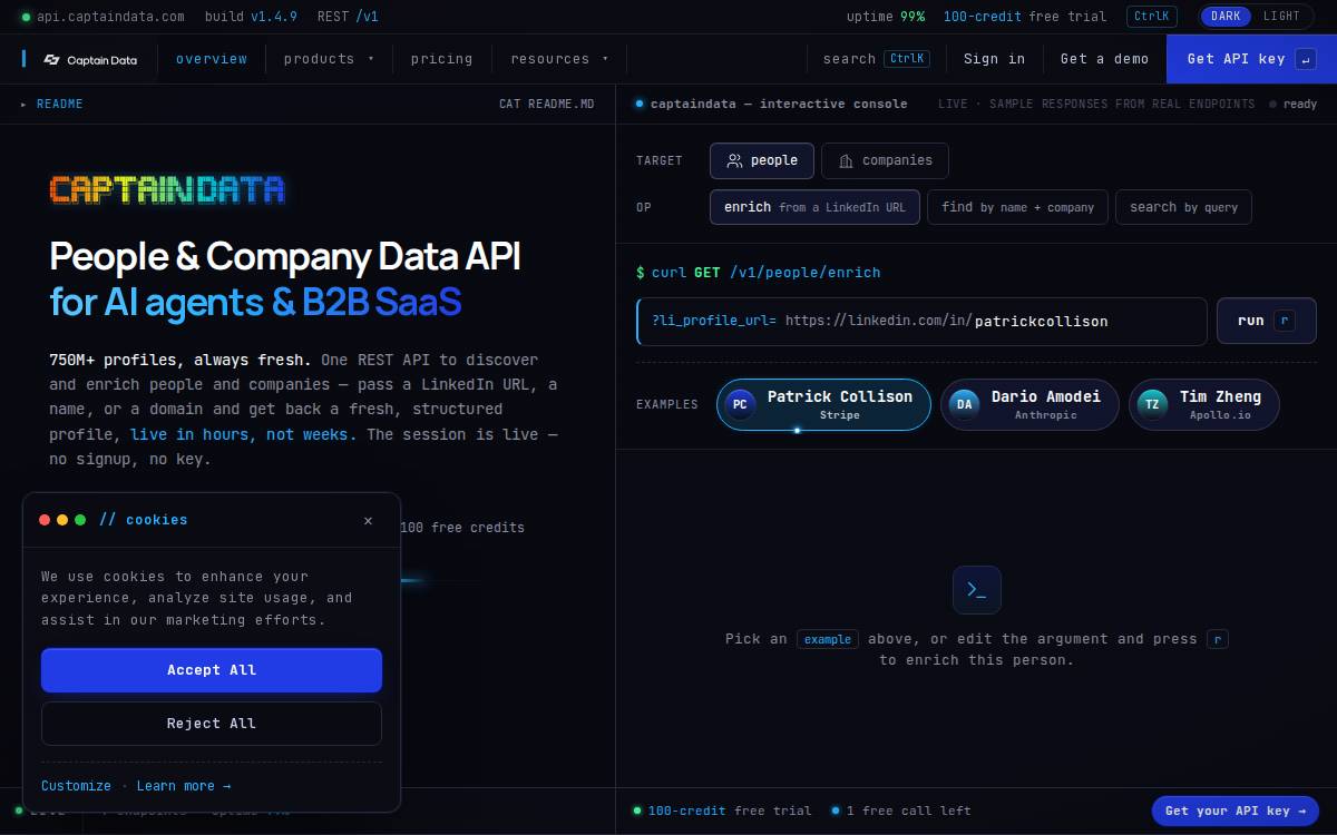 Captain Data website preview