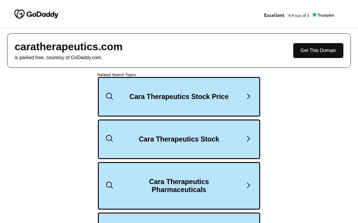 Cara website preview