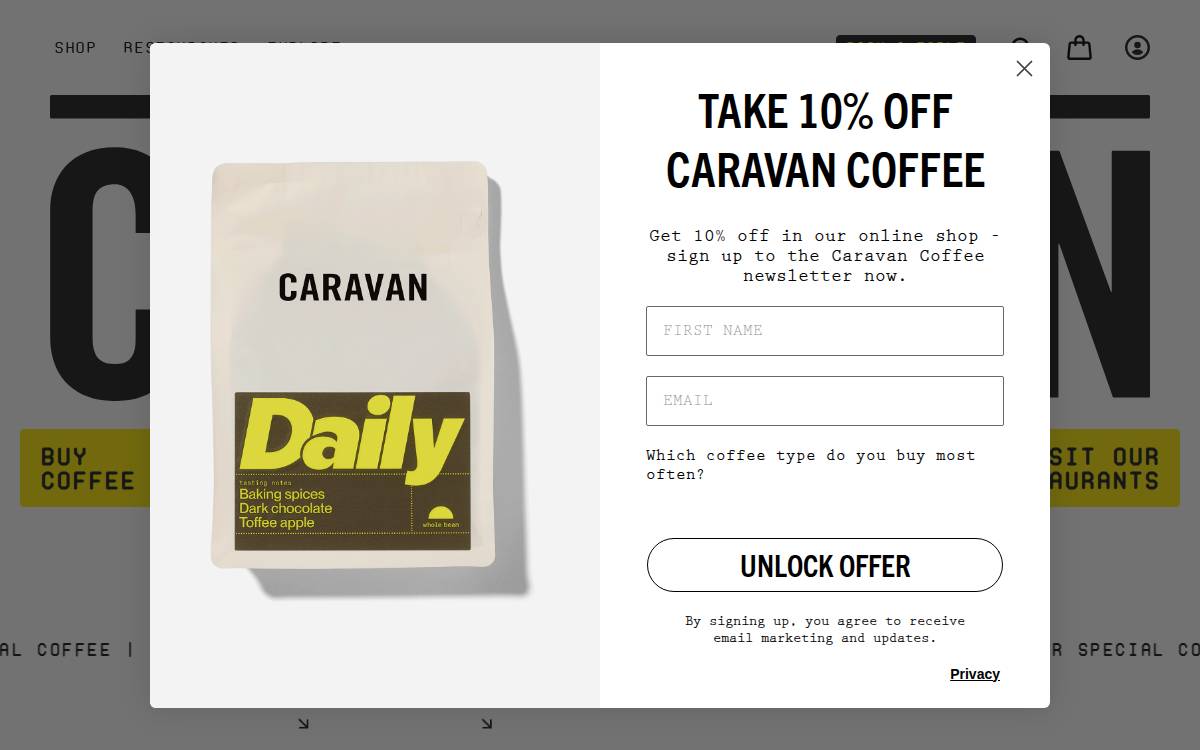 Caravan website preview