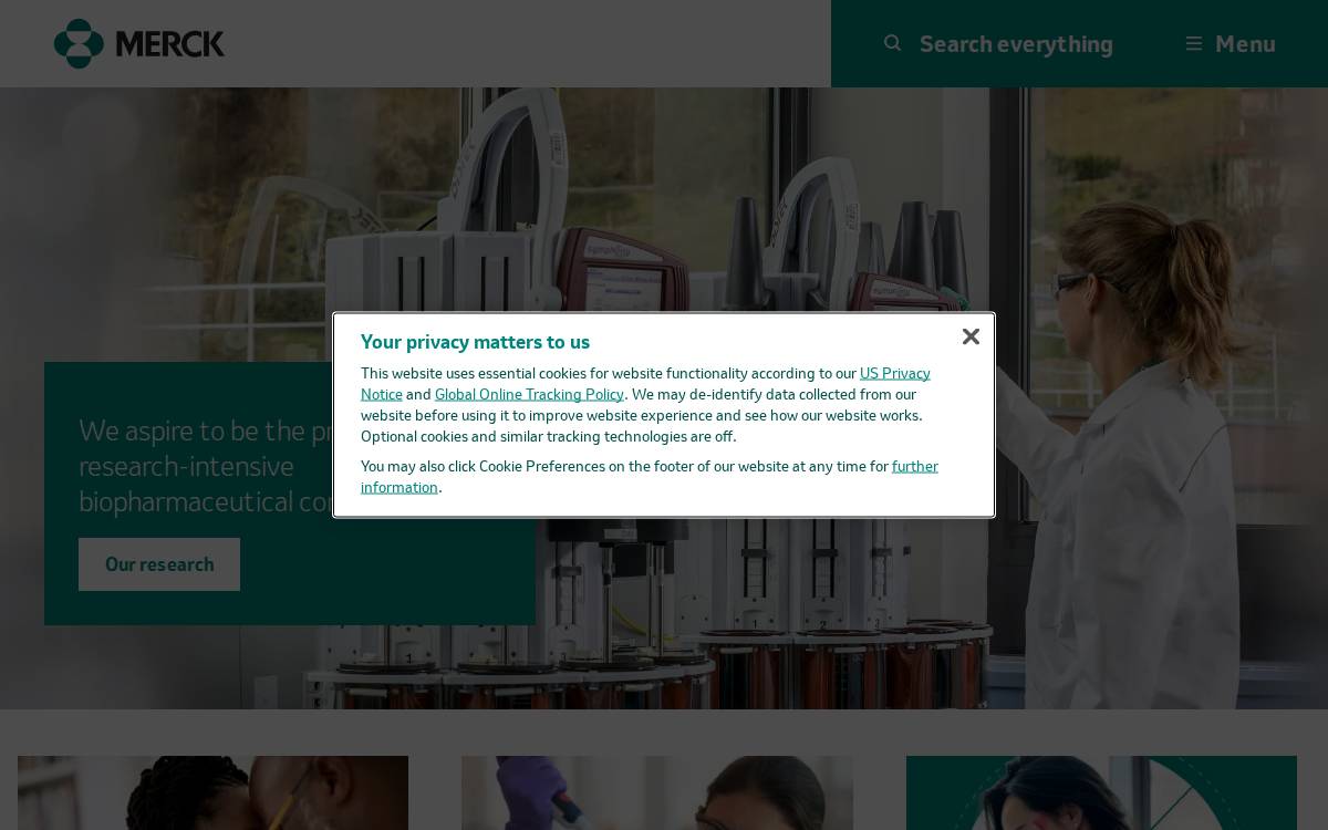Caraway website preview