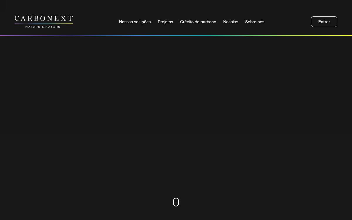 Carbonext website preview