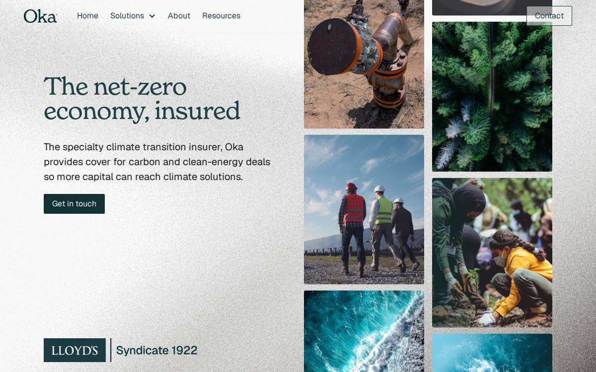 Carboninsurance website preview