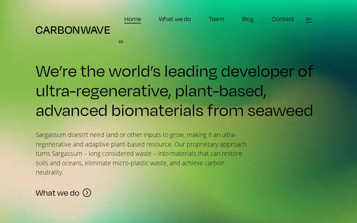 CarbonWave website preview