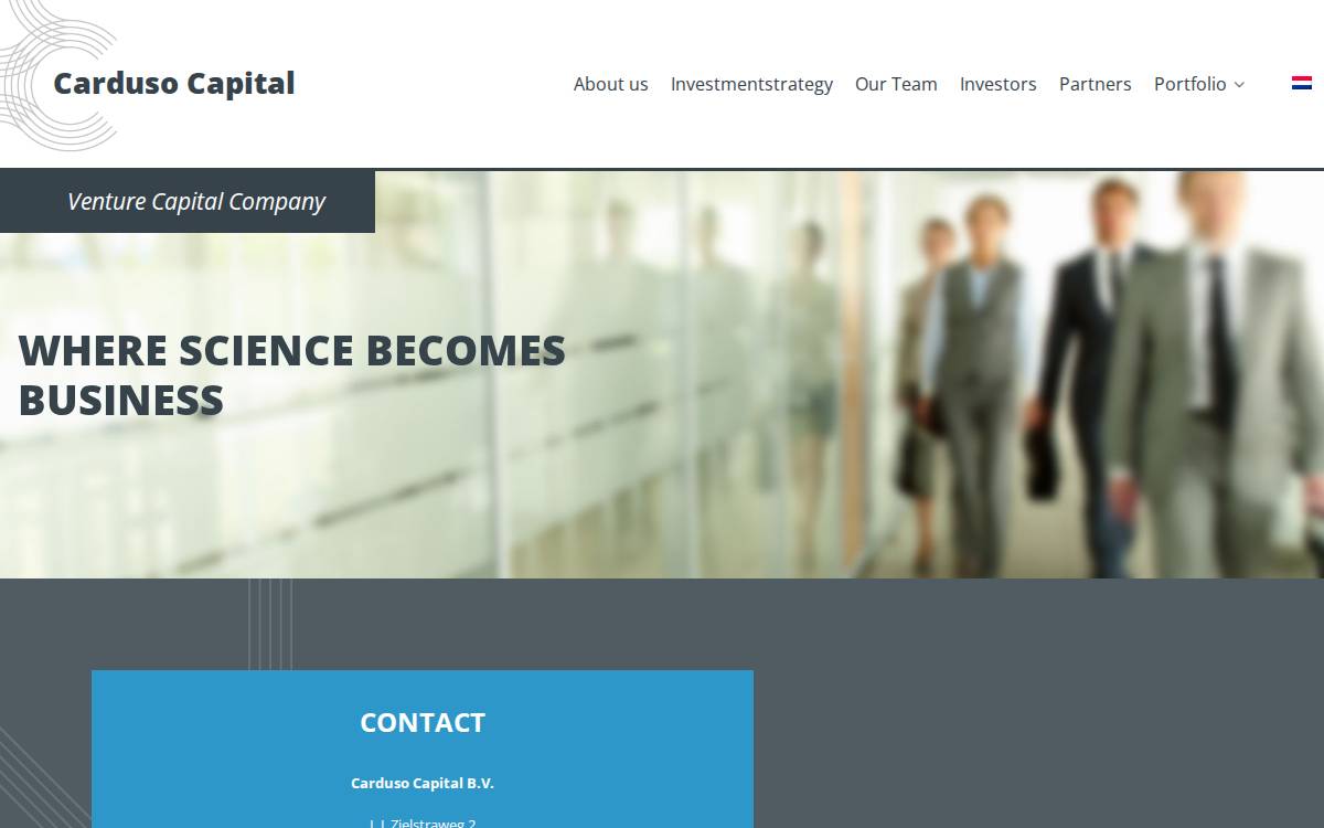 Carduso Capital website preview
