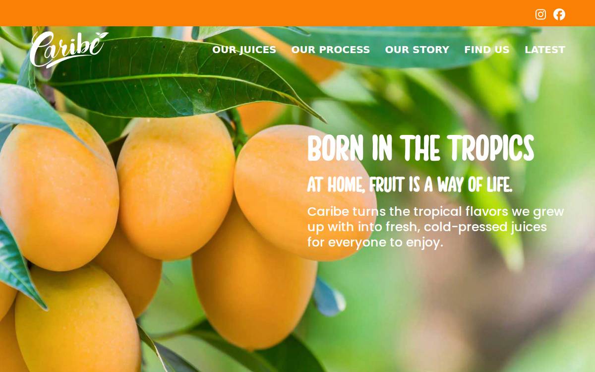 Caribe Juice website preview