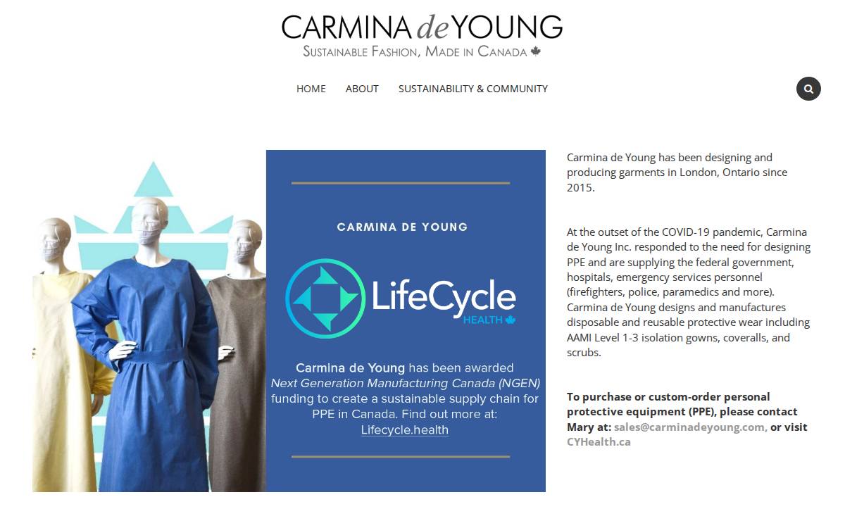 Carminadeyoung website preview
