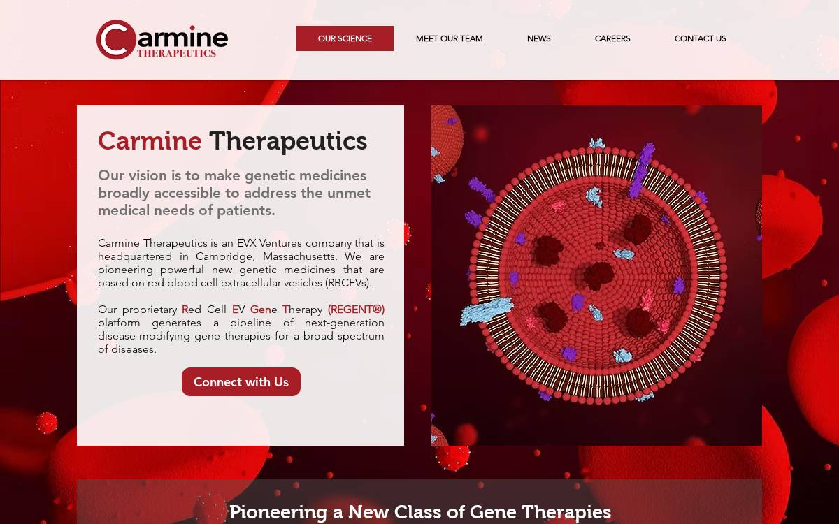 Carmine Therapeutics website preview